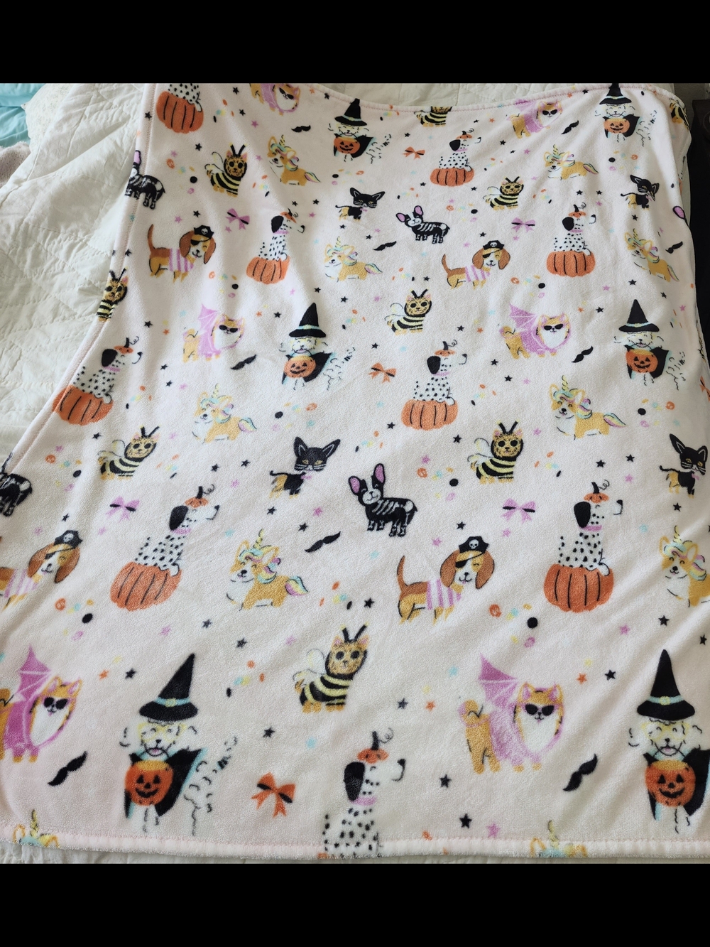 Pink Halloween Pets Throw Blanket Velvet Plush Soft Cats Dogs Costumes Pumpkins